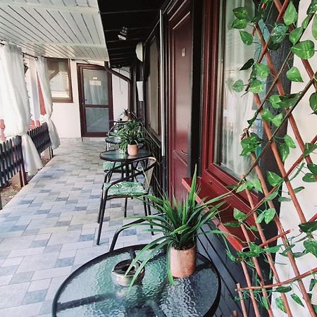 Pensiunea Red Rose Apartments Temešvár Exteriér fotografie