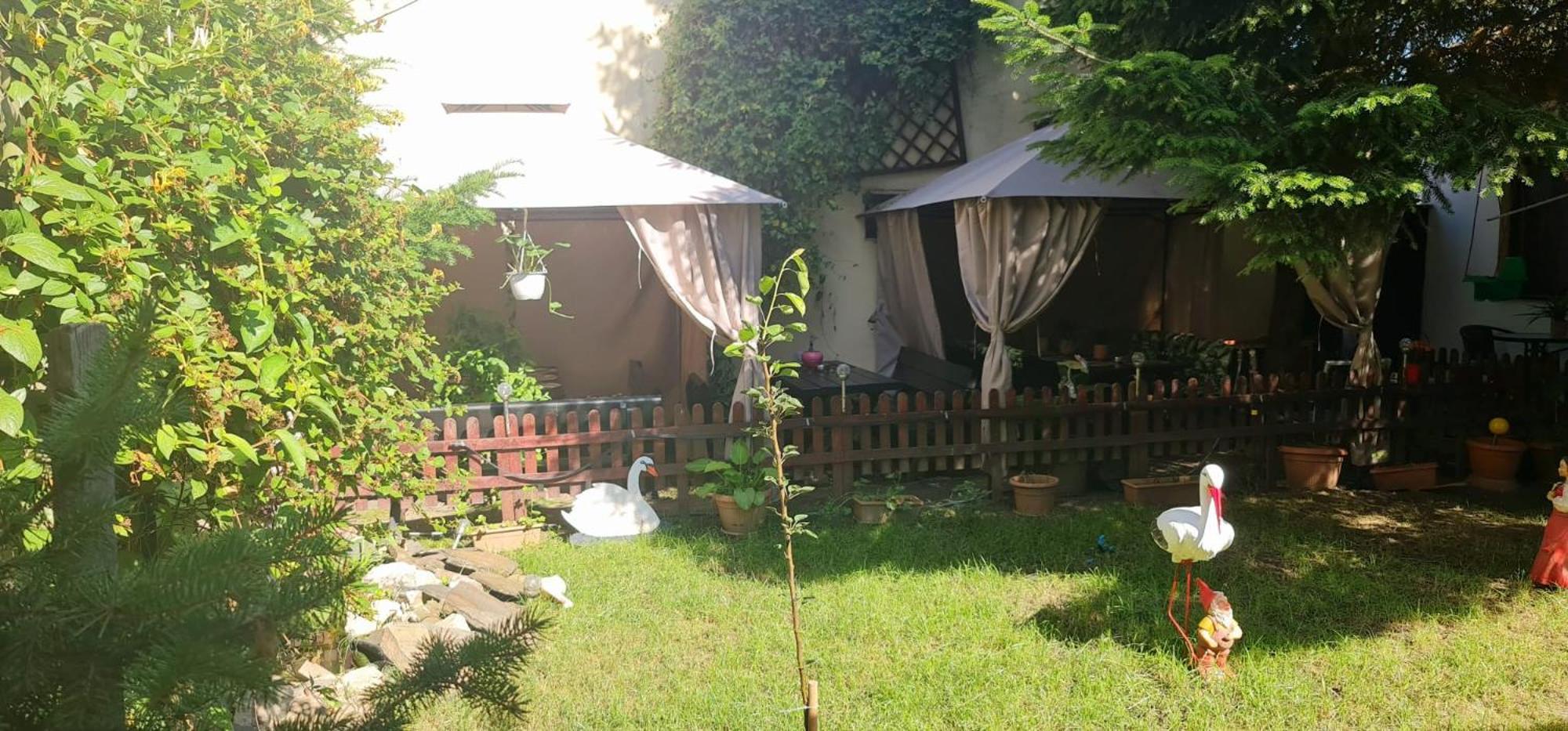 Pensiunea Red Rose Apartments Temešvár Exteriér fotografie
