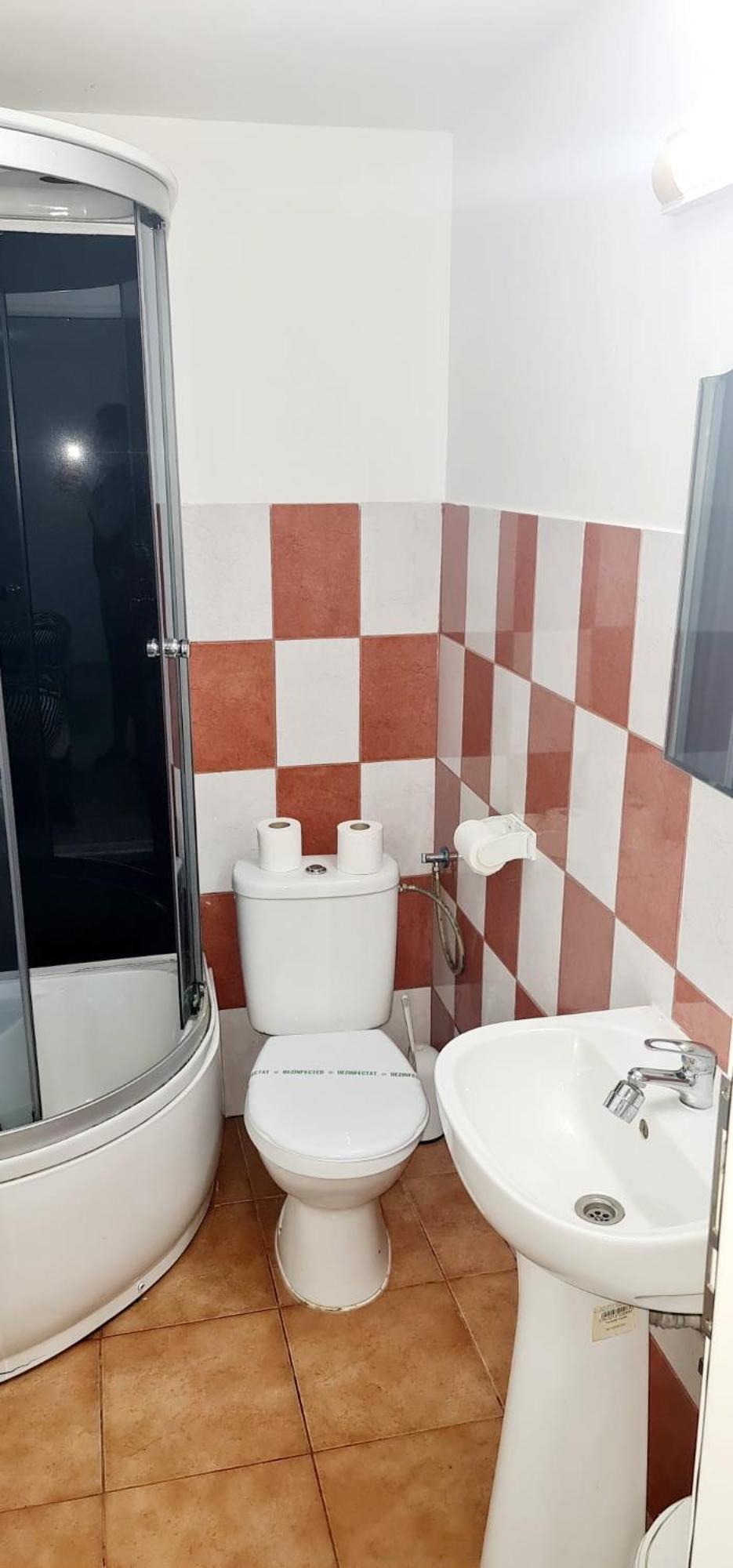 Pensiunea Red Rose Apartments Temešvár Exteriér fotografie