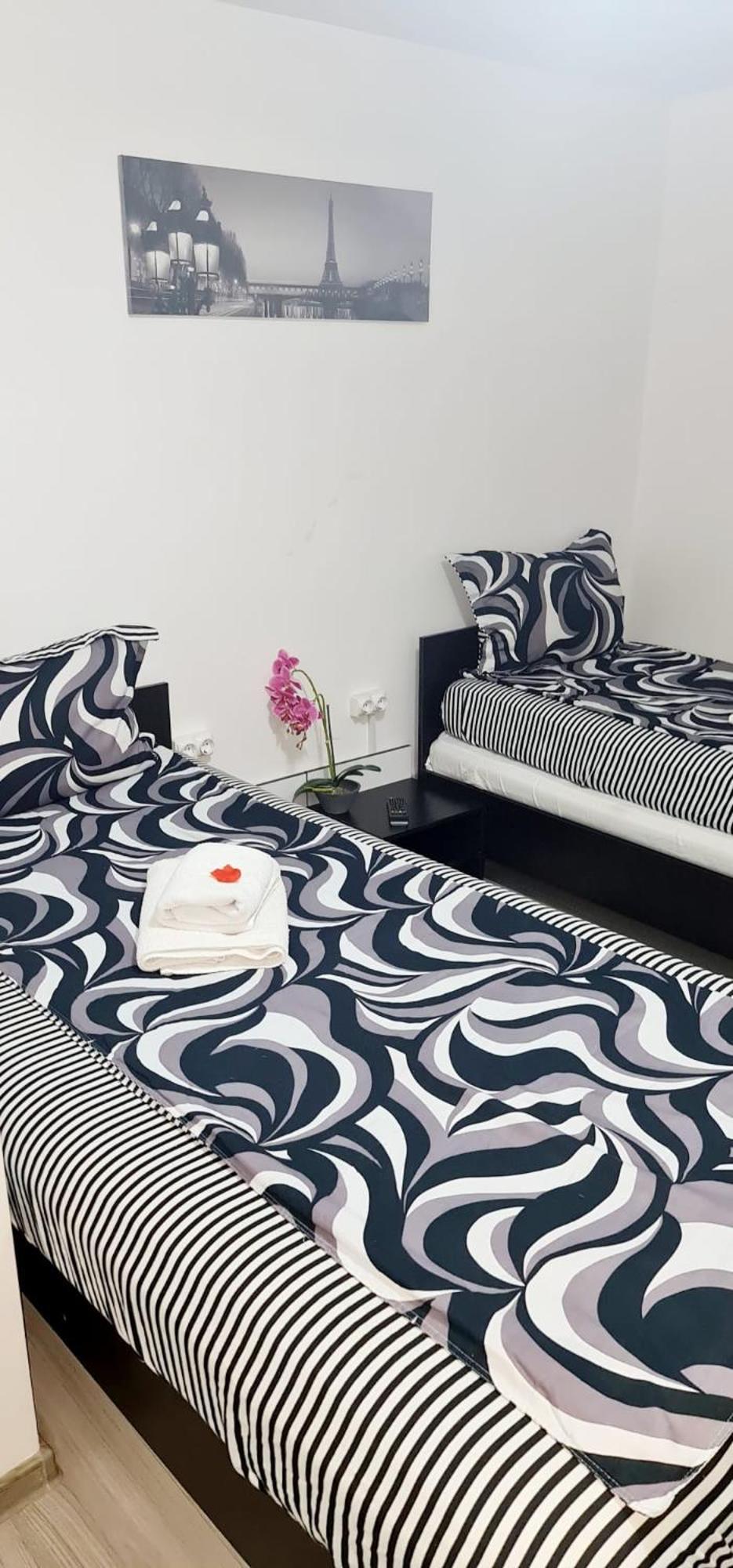 Pensiunea Red Rose Apartments Temešvár Exteriér fotografie