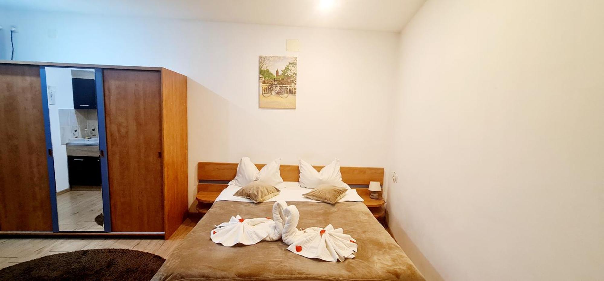 Pensiunea Red Rose Apartments Temešvár Pokoj fotografie