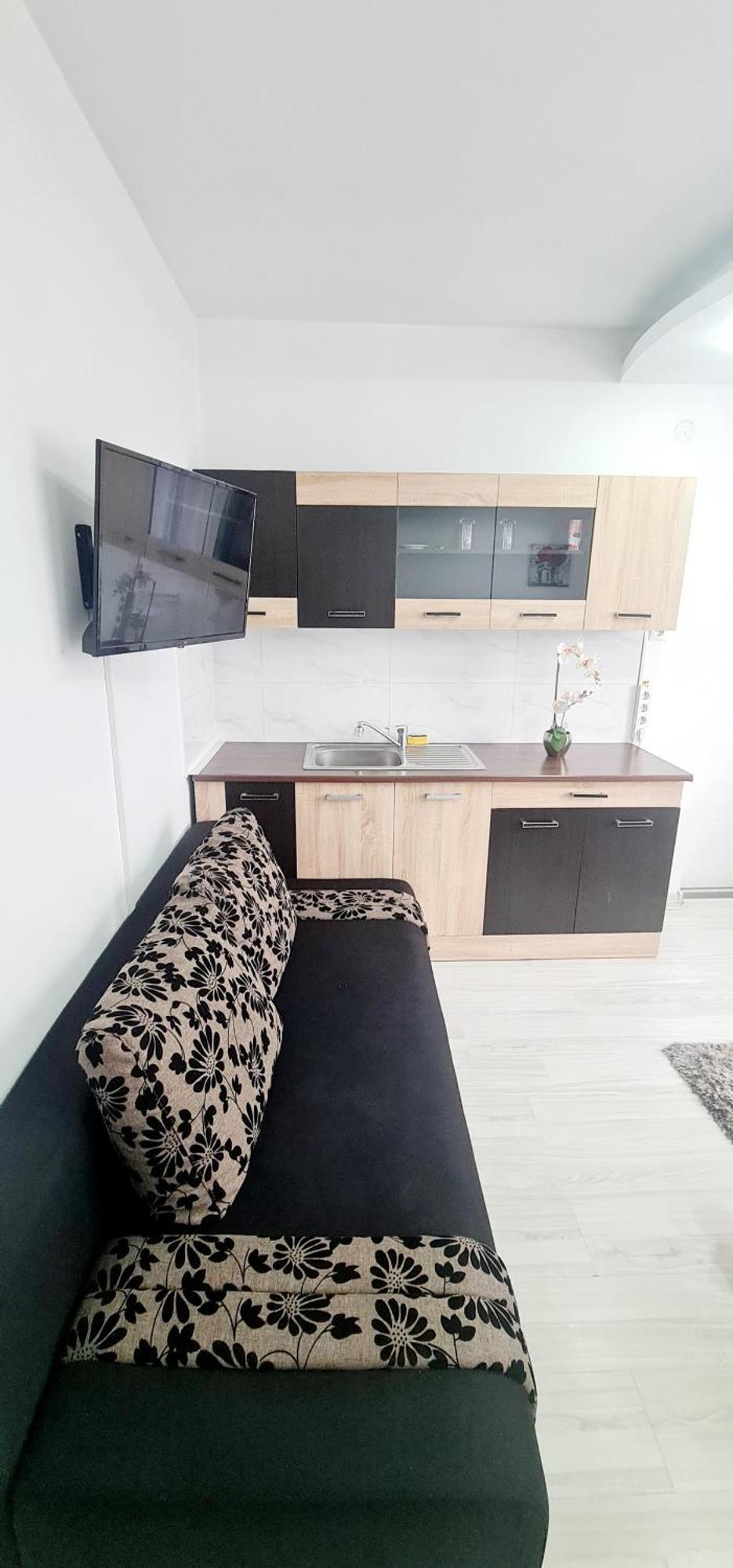 Pensiunea Red Rose Apartments Temešvár Exteriér fotografie