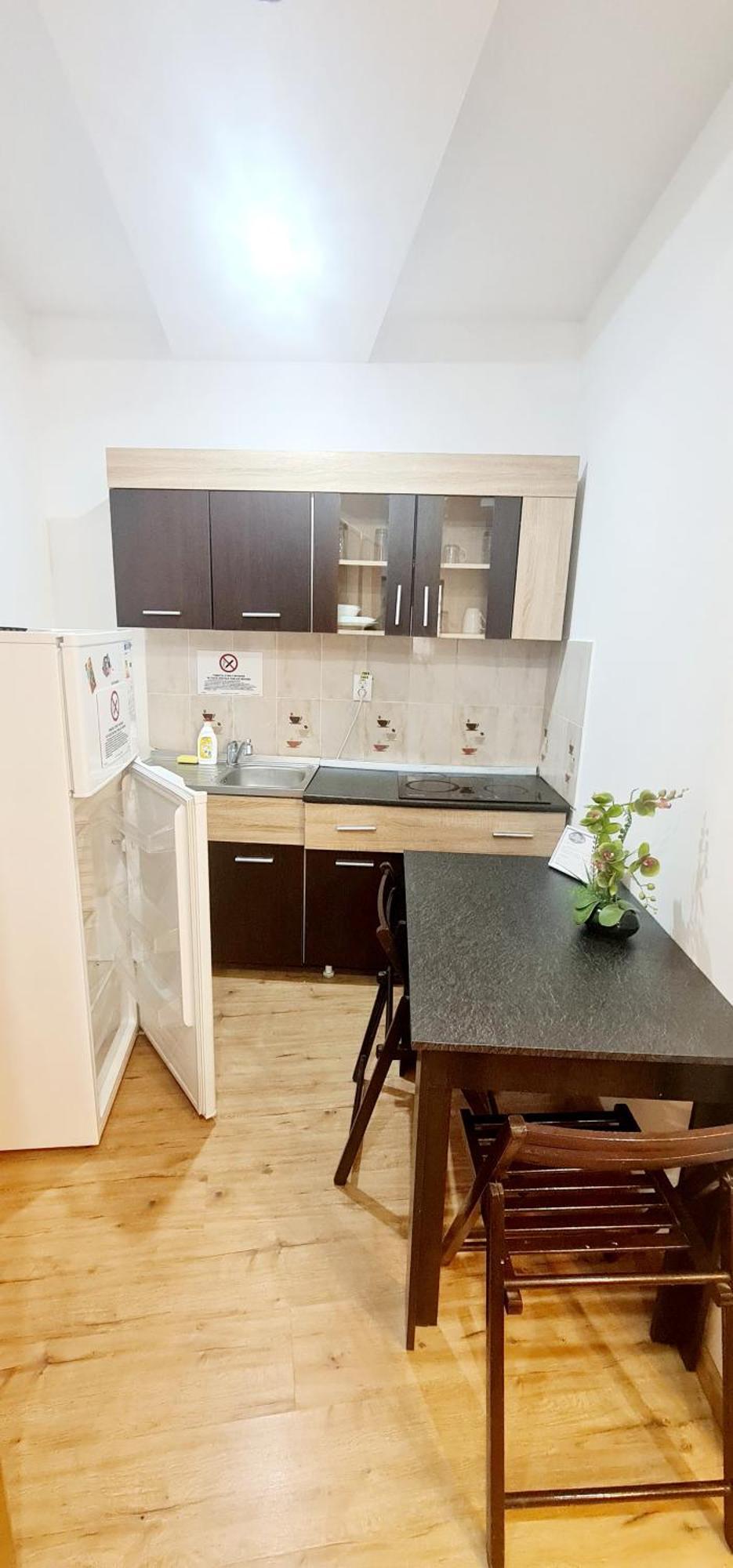 Pensiunea Red Rose Apartments Temešvár Exteriér fotografie