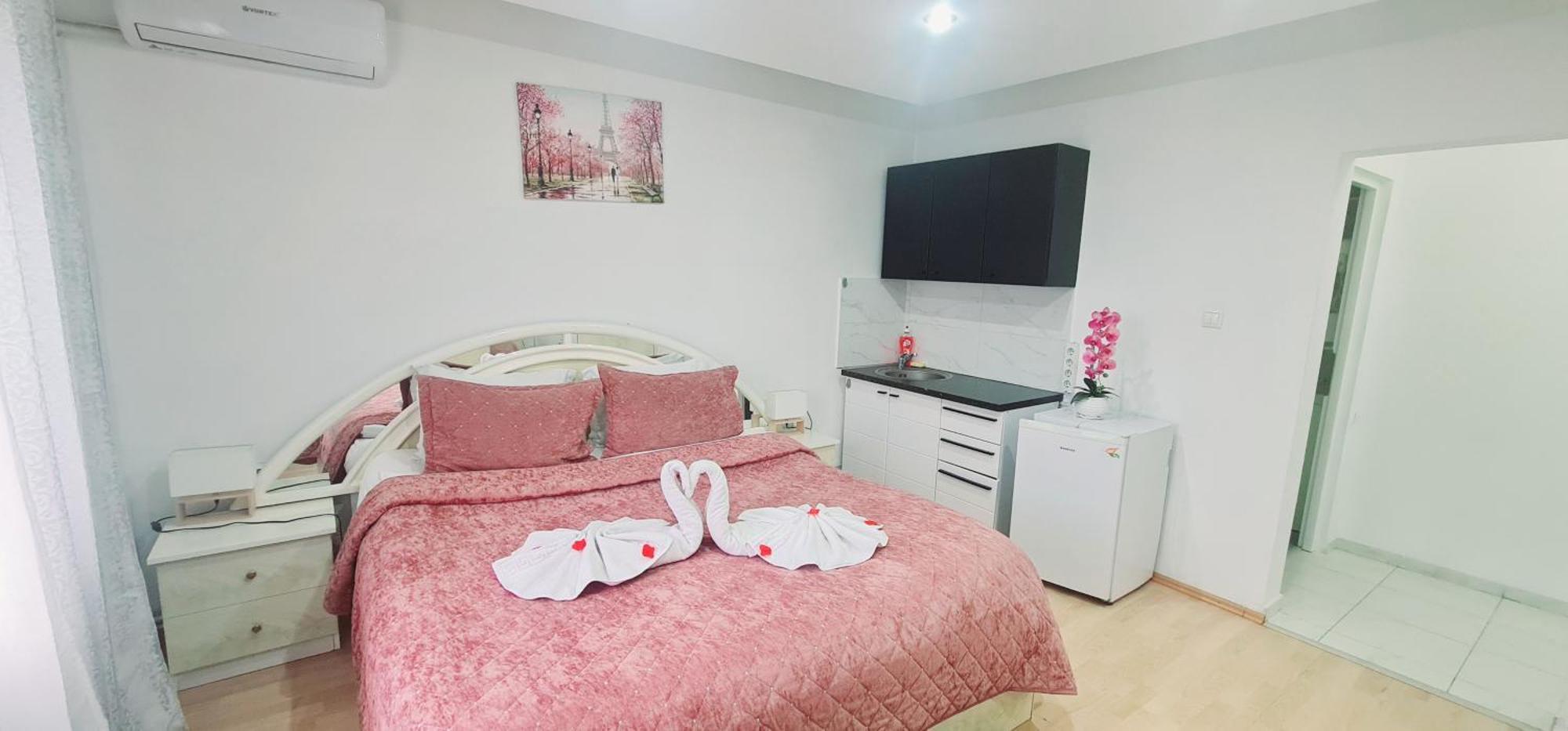 Pensiunea Red Rose Apartments Temešvár Exteriér fotografie