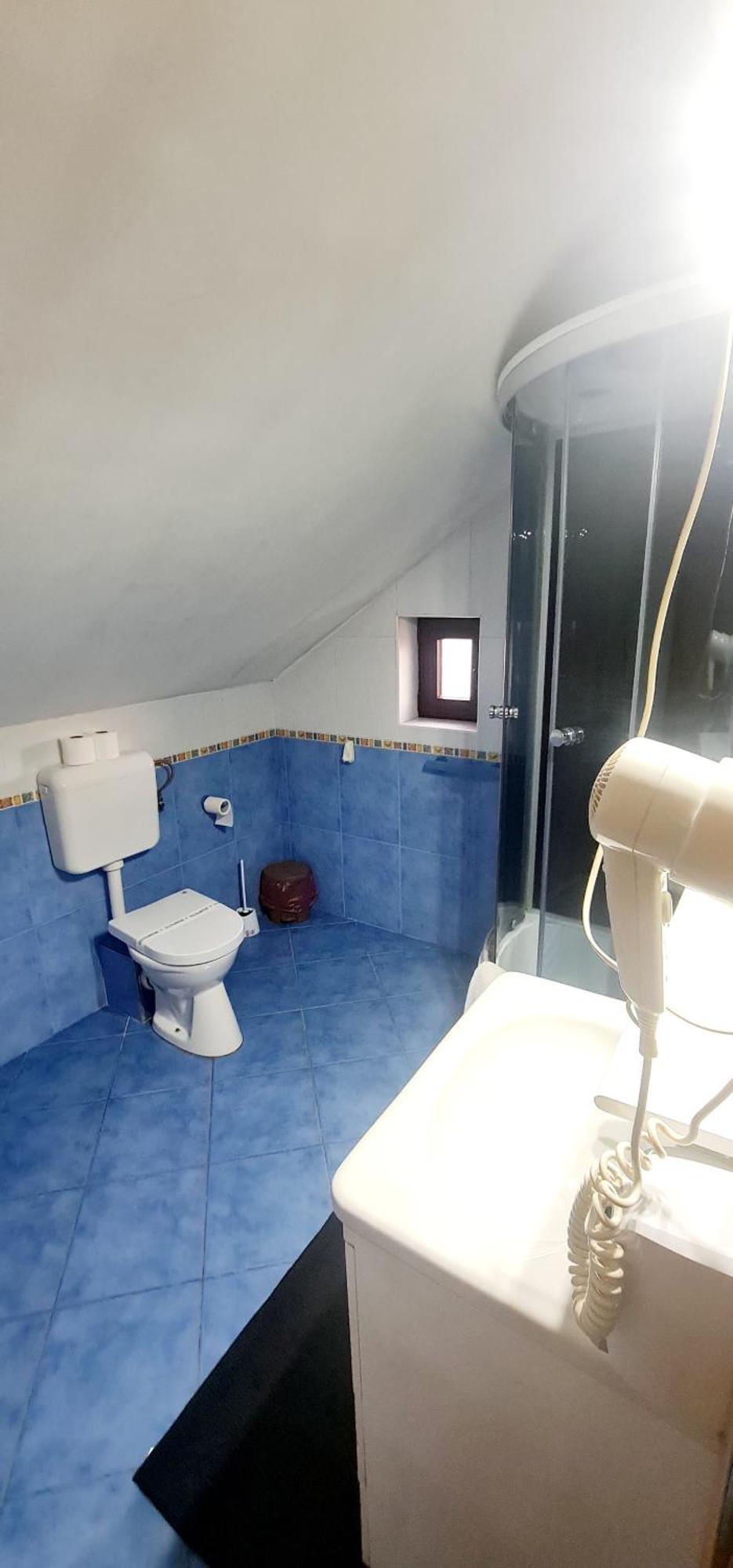 Pensiunea Red Rose Apartments Temešvár Exteriér fotografie